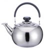 Tetera de Té 800ml