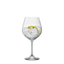 Set 6 Copas Gin 750ml