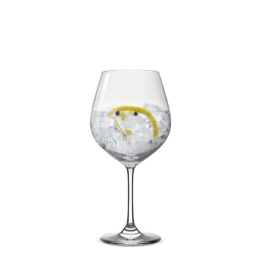 Set 6 Copas Gin 750ml
