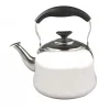Tetera Europea 4.5LT Inoxidable Dussel Wolfen